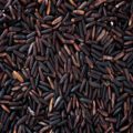 black-rice_rv-organics_www.worldonetrade.com