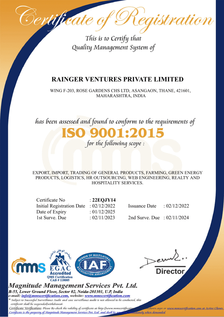 raingerindia_ISO-9001-2025_certificate