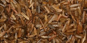 brown-rice_almoraz-greens_raingerindia_1200x600