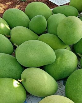 Export Quality Alphonso Mangoes – Ratnagiri Hapus – 5 KG Box