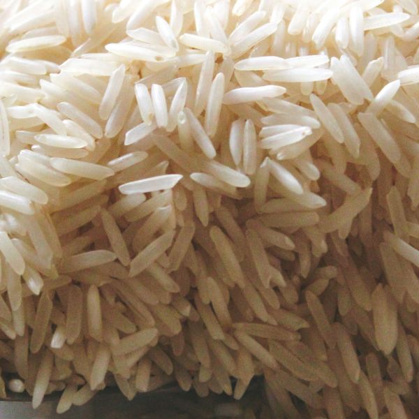 pusa basmati rice from haryana india_worldonetrade.com