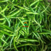 guntur sannam green chilli_worldonetrade.com_1200x1200px