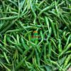 guntur sannam green chilli_worldonetrade.com_1200x1200px