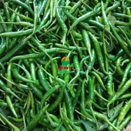 G4 Guntur Sannam Green Chilli – Premium Export Quality | per KG