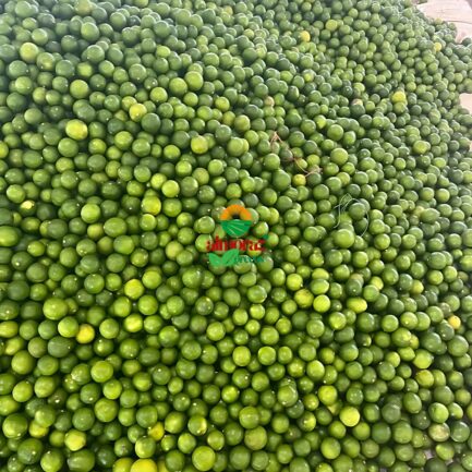 fresh green lemon_export-quality_almoraz-greens_600x600px