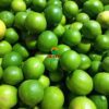 fresh green lemon_export-quality_almoraz-greens_600x600px