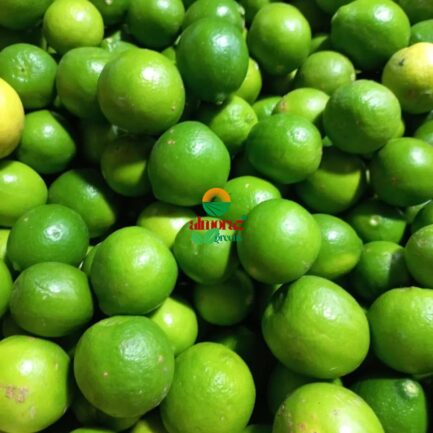 fresh green lemon_export-quality_almoraz-greens_600x600px