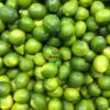 fresh green lemon_export-quality_almoraz-greens_600x600px