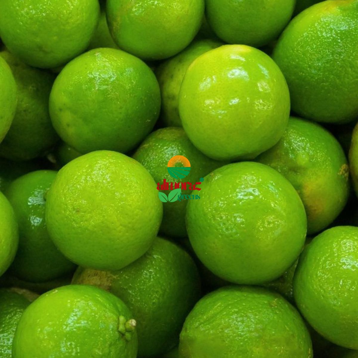 fresh green lemon_export-quality_almoraz-greens_600x600px