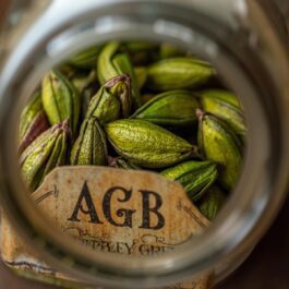 Premium AGB Alleppey Green Bold Cardamom – Export Quality | per KG