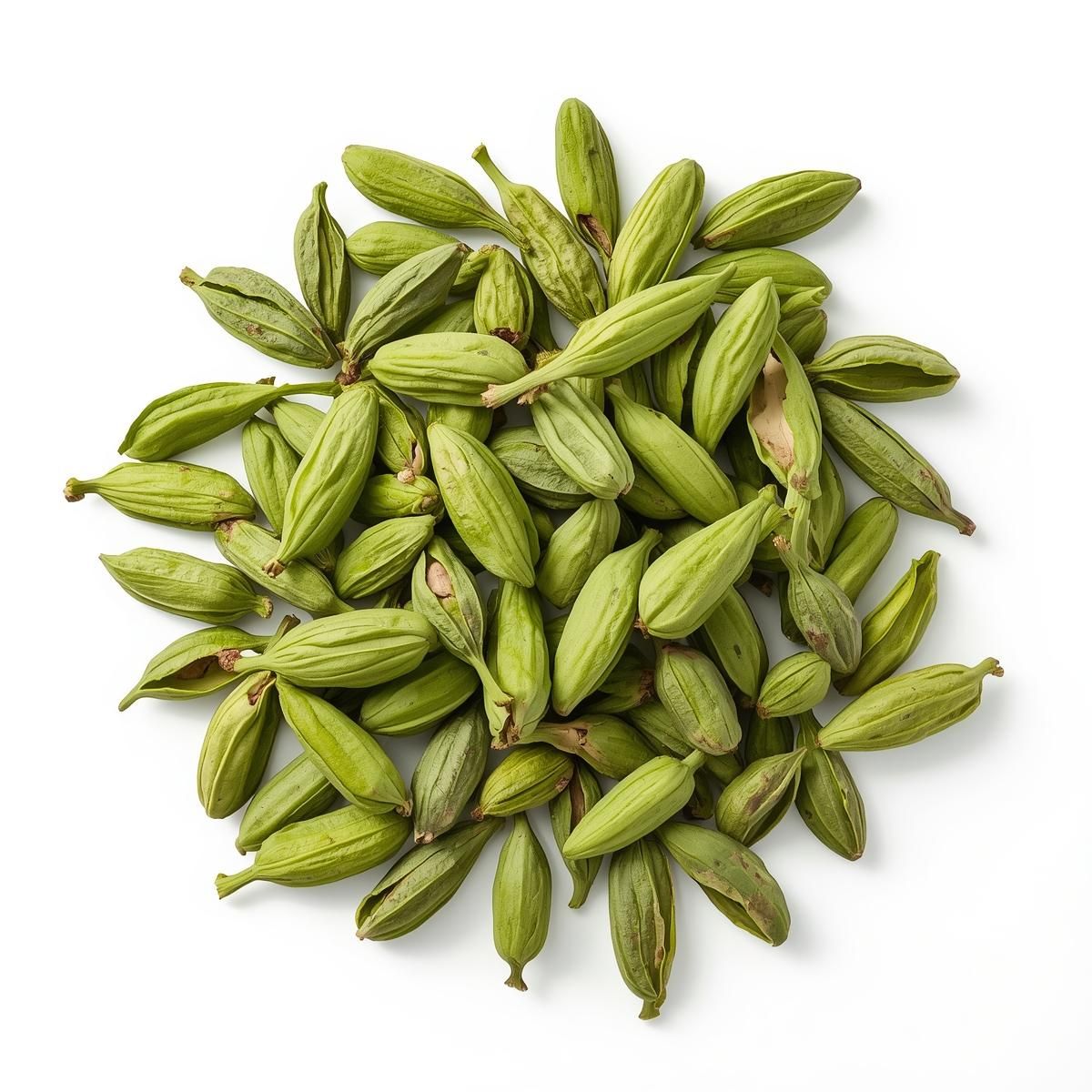 WorldOneTrade – Alleppey Green Extra Bold cardamom, Cardamom Exporters in India, Cardamom Exporters from India, Indian Cardamom exporters, Cumin Seeds Exporters in India, Red Chilli Exporters in India, Black Pepper Exporters in India, Trusted Exporters in India
