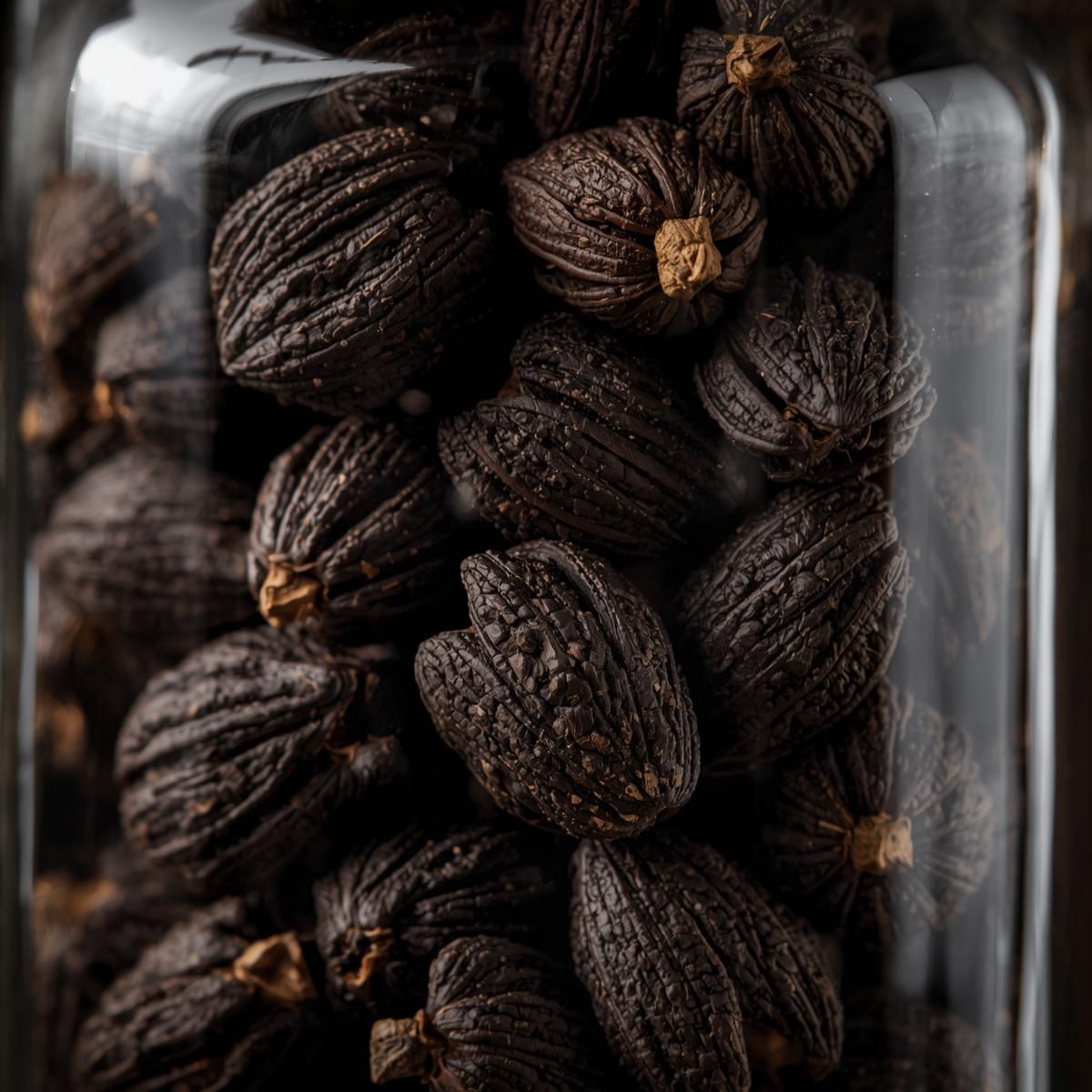 WorldOneTrade – Indian Black Cardamom Exporters in India, Black Cardamom, Badi Elaichi, Indian Black Cardamom, Largest Exporter of Cardamom in India, Cardamom Exporters in India, Red Chilli Exporters in India, Black Pepper Exporters in India, Trusted Exporters in India