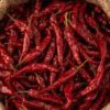 WorldOneTrade – Sannam Red Chilli Exporters, Sannam Red Chilli Export from India, Indian Dry Red chilli exporters, Black Pepper Exporters in India, Cumin Exporters in India, Cardamom Exporters in India, Trusted Exporters in India