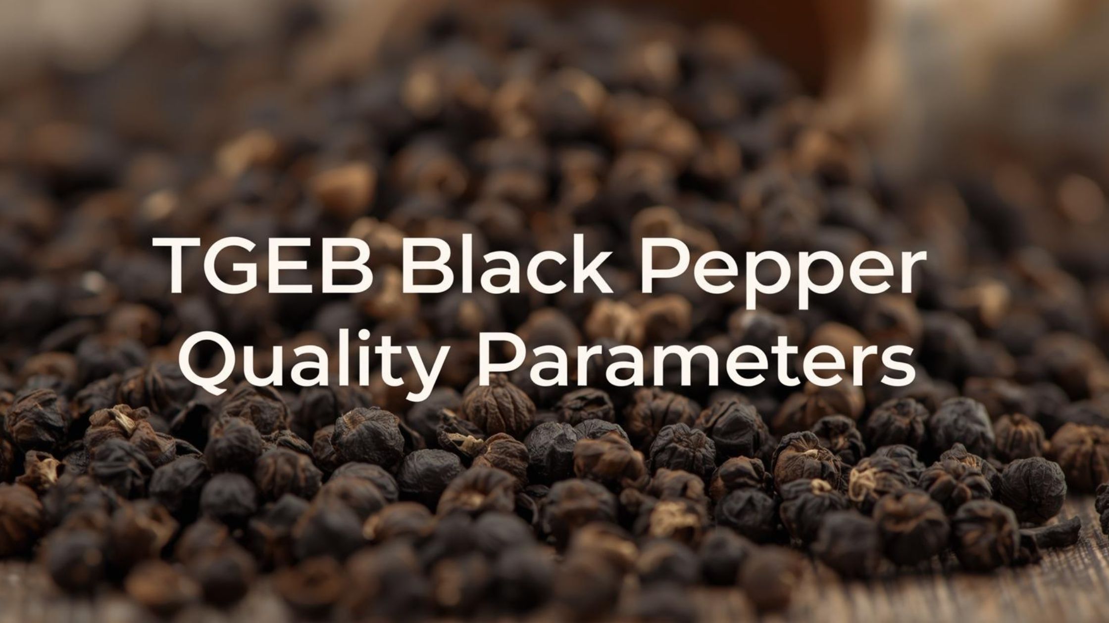 WorldOneTrade – Premium Tellicherry Extra Bold Peppercorns, Export Quality TGEB Black Pepper, Heritage Indian Spices, Spice Exporters in India, Spices Exporters in India, Exotic Spice Exporters in India, Black Pepper exporters in India, Cardamom Exporters in India, Cumin Exporters in India, Trusted Exporters in India