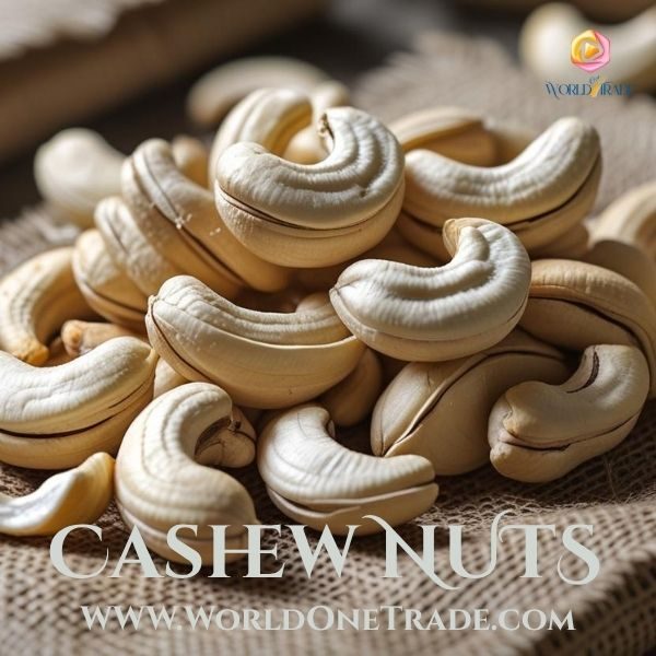 WorldOneTrade – Exporters from India, Exporters in India, Exporters of Rice in India, Fruits Exporters in India, Onion Exporter in India, Cashew Nut Exporters in India, Vegetable Exporters in India