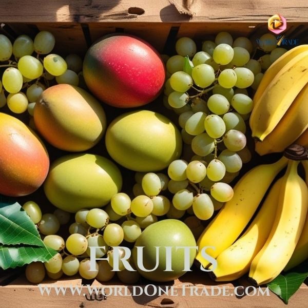 WorldOneTrade – Exporters from India, Exporters in India, Exporters of Rice in India, Fruits Exporters in India, Onion Exporter in India, Cashew Nut Exporters in India, Vegetable Exporters in India